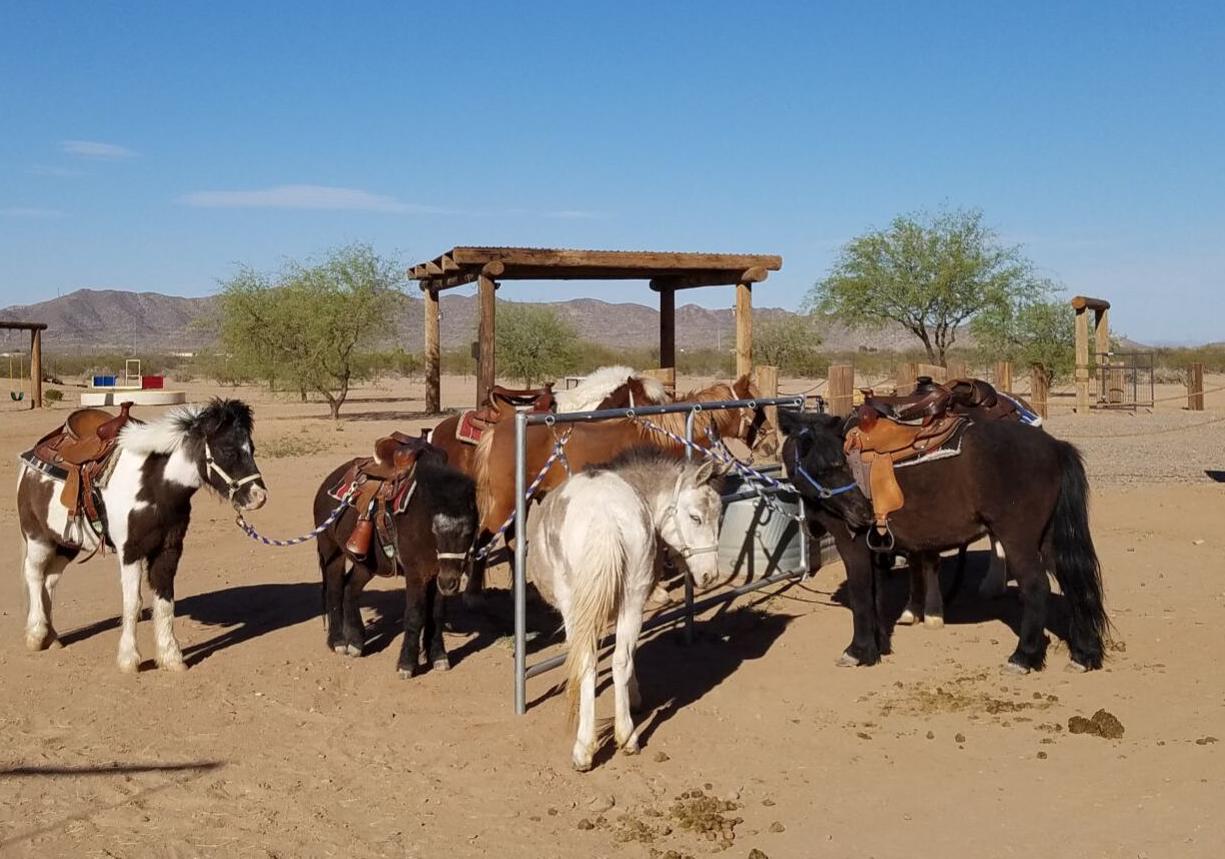 Ponies